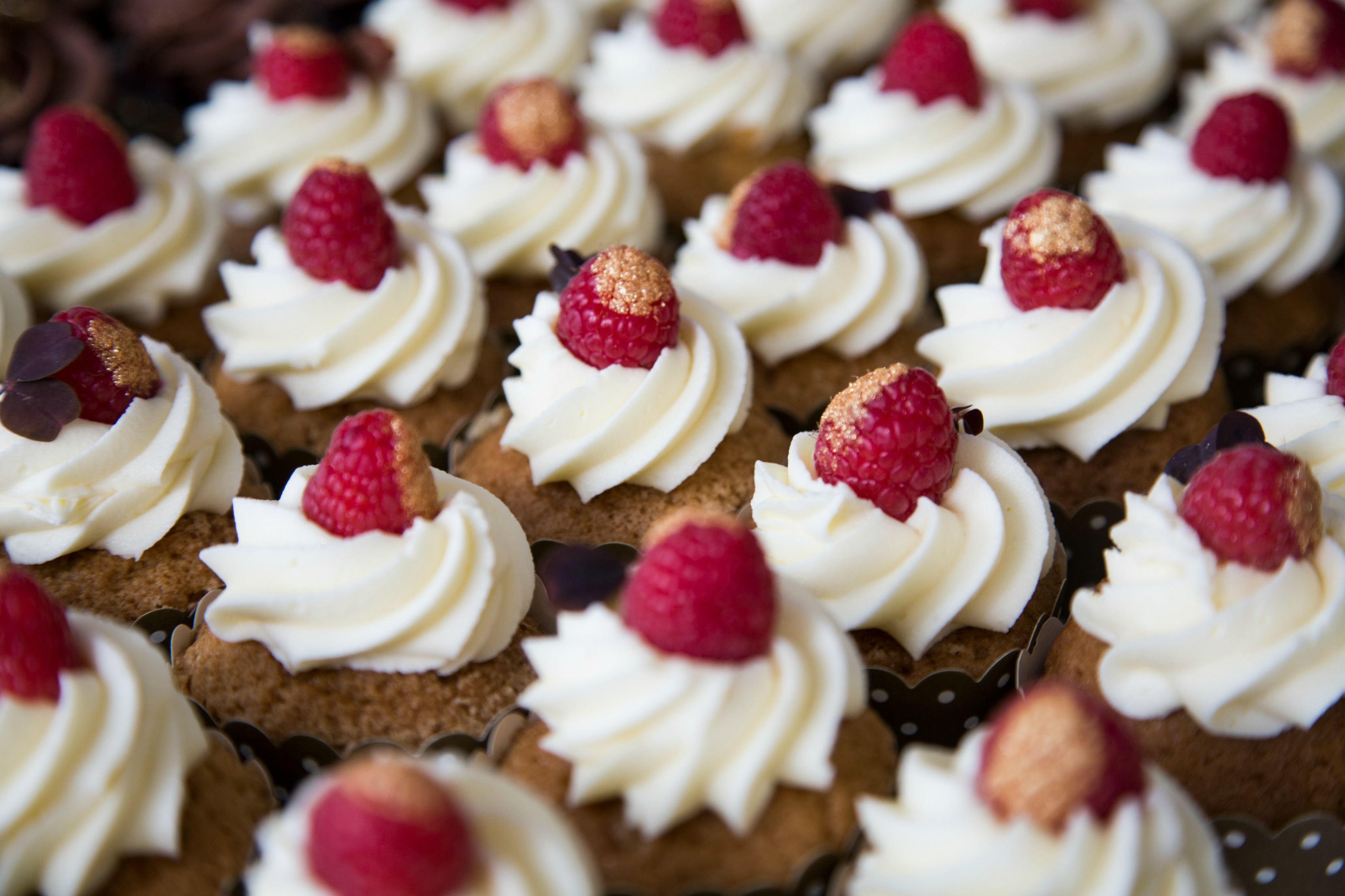 Vaniljecupcakes med hindbær-coulis og hvid chokolade frosting – Bryllup